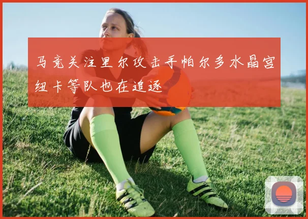 马竞关注里尔攻击手帕尔多水晶宫纽卡等队也在追逐