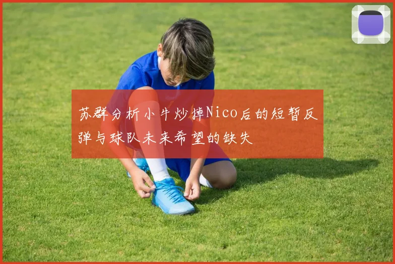 苏群分析小牛炒掉Nico后的短暂反弹与球队未来希望的缺失