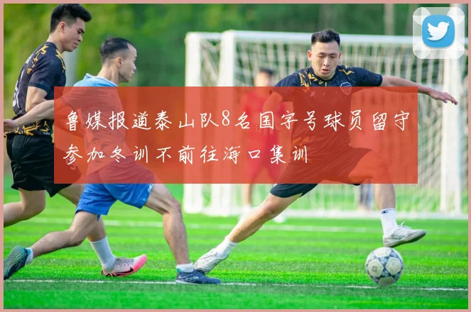 鲁媒报道泰山队8名国字号球员留守参加冬训不前往海口集训