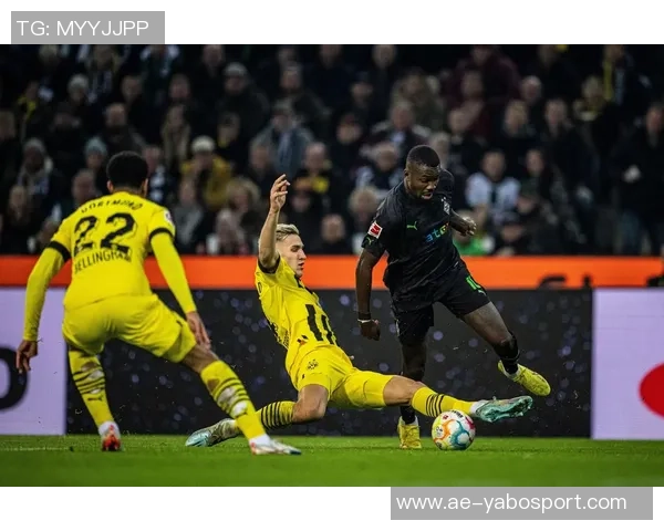 萨默尔赞同施洛特贝克批评多特观点称其言之有物